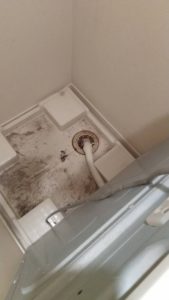 排水ホース