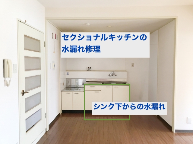 川越市でキッチンシンク下の水漏れ修理と流し台の交換 水のトラブル修理は水道工事エコライフ