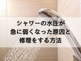 風呂場のシャワーから水が出ている様子