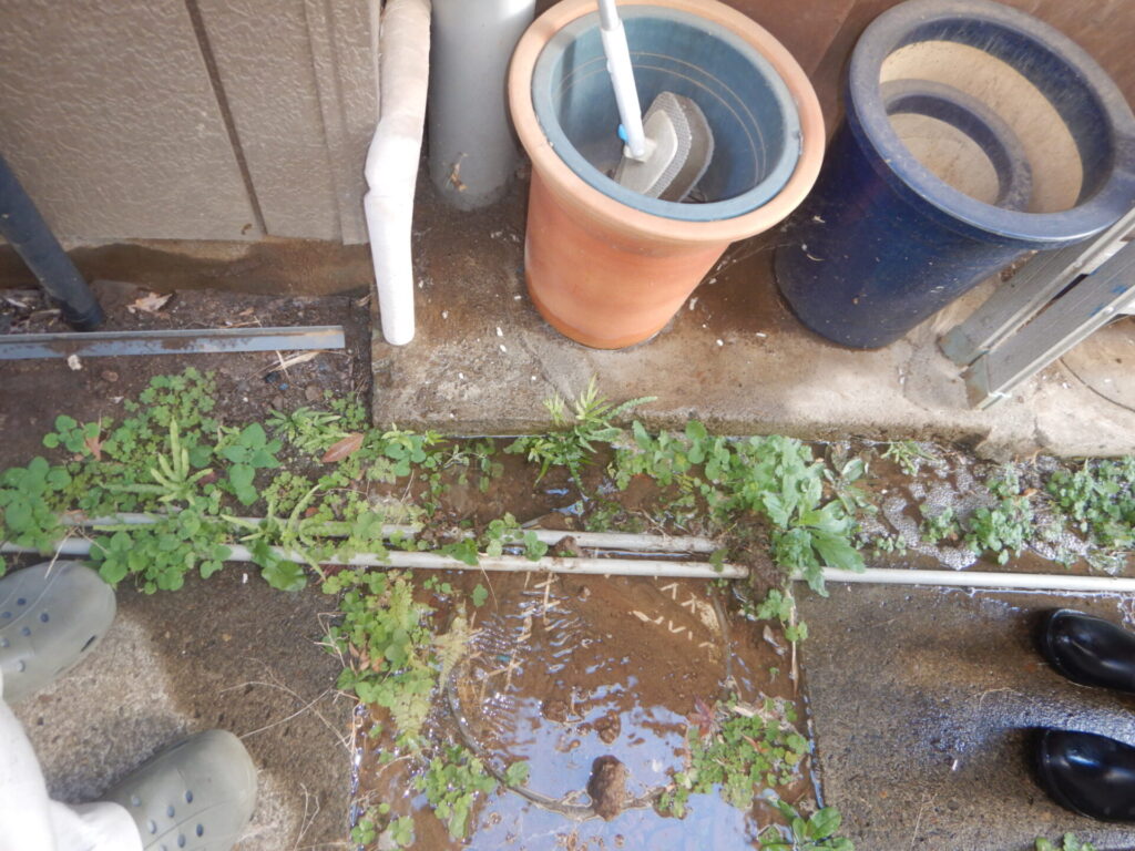 庭や地面から水が染み出す