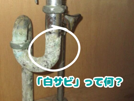 「白サビ」って何？なぜ発生するの？