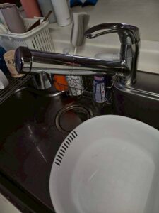 キッチン水栓の外観。シャワーヘッドを引き出して使うタイプの蛇口